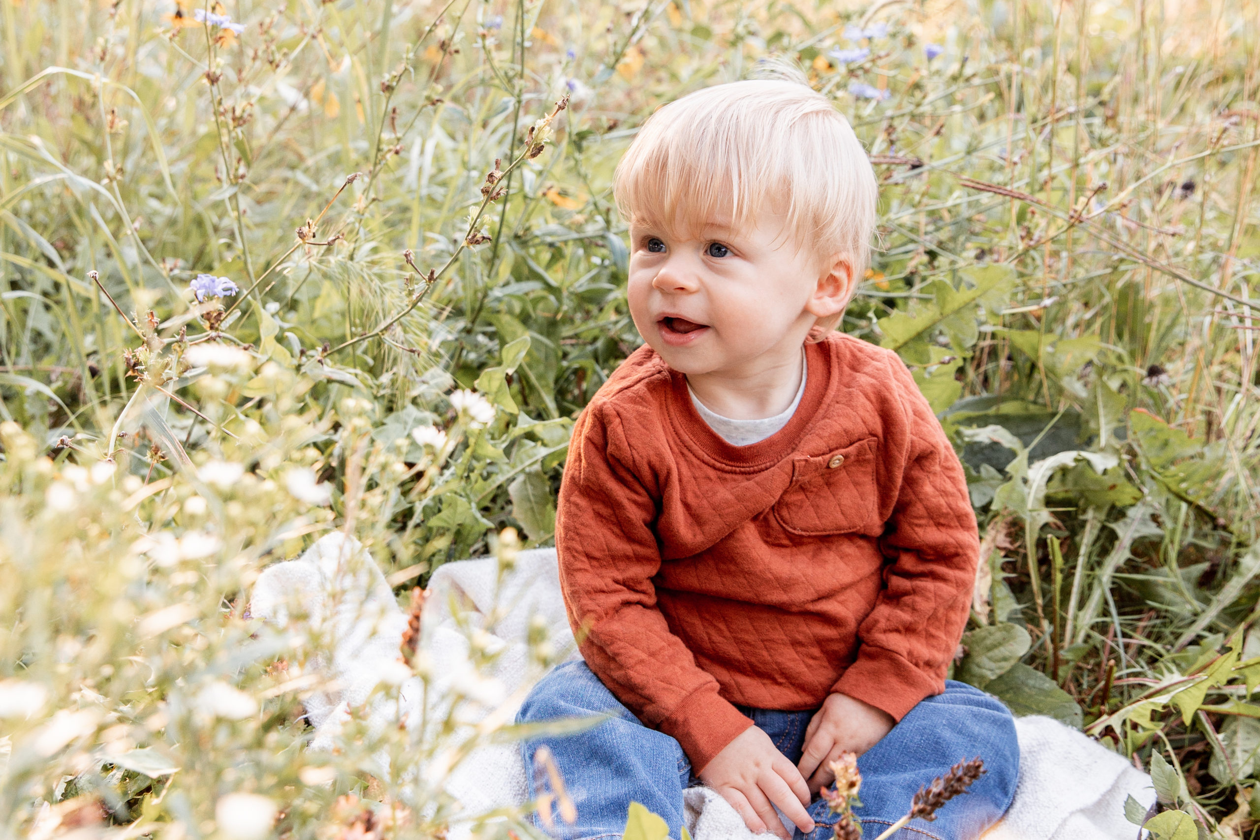 toddler sitting in a field of flowers at Fetherling Park